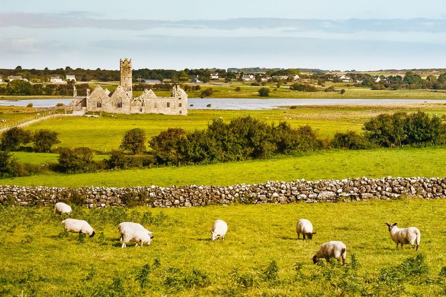 From Galway: Connemara & Kylemore Abbey Full-Day Guided Tour - Two hours at Kylemore Abbey