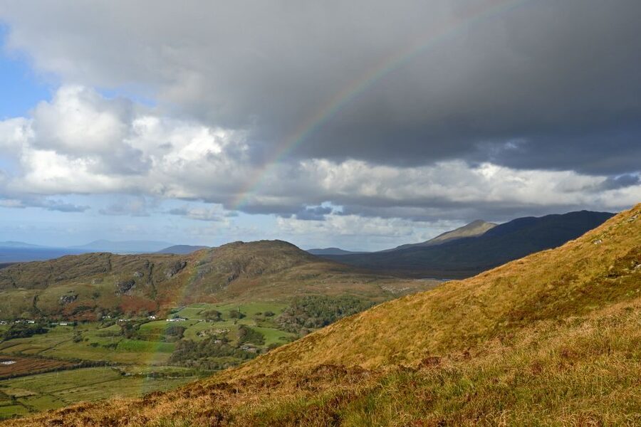 From Galway: Connemara National Park Full Day Tour - Two hours at Connemara National Park