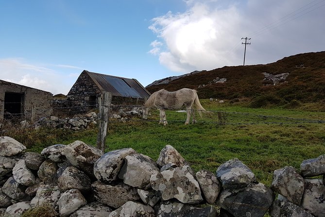 From Galway: Guided tour of Connemara with 3 hour stop at Connemara National Pk. - Sky Road and the Atlantic edge