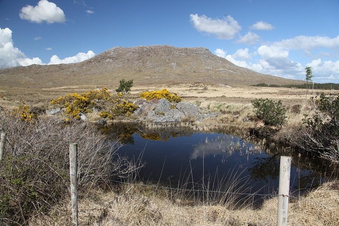 From Galway: Guided tour of Connemara with 3 hour stop in Kylemore Abbey - Why this is a smart way to see Connemara