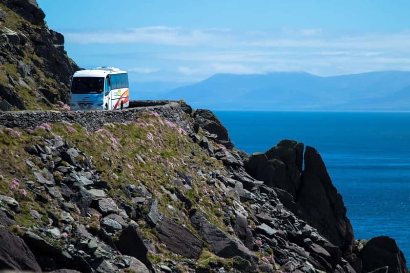 From Killarney: Dingle and Slea Head Peninsula Day Tour - Why this six-hour trip works from Killarney