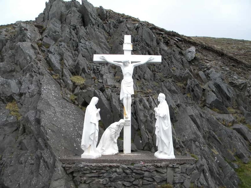 From Killarney: Dingle and Slea Head Peninsula Day Tour - The dolphin question