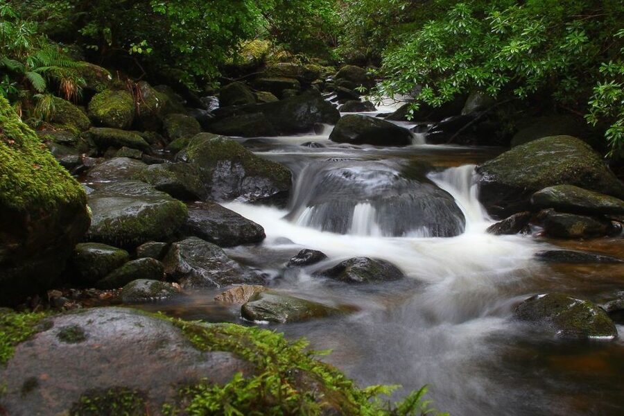 From Killarney: Ring of Kerry Full-Day Tour - Why the Ring of Kerry works well by coach