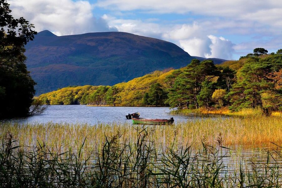 From Killarney: Ring of Kerry Full-Day Tour - Dingle Bay, Inch Beach, and wide Atlantic views