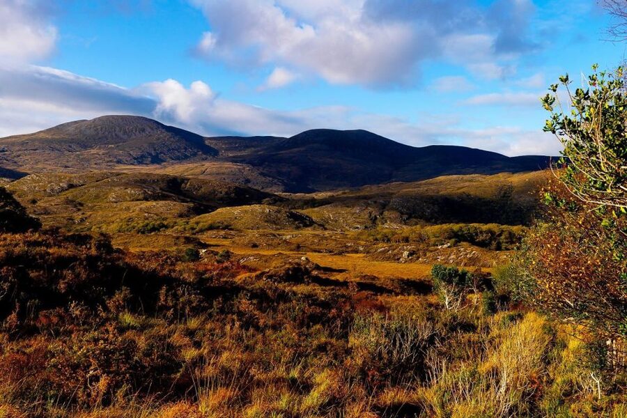 From Killarney: Ring of Kerry Full-Day Tour - Moll’s Gap and Ladies View