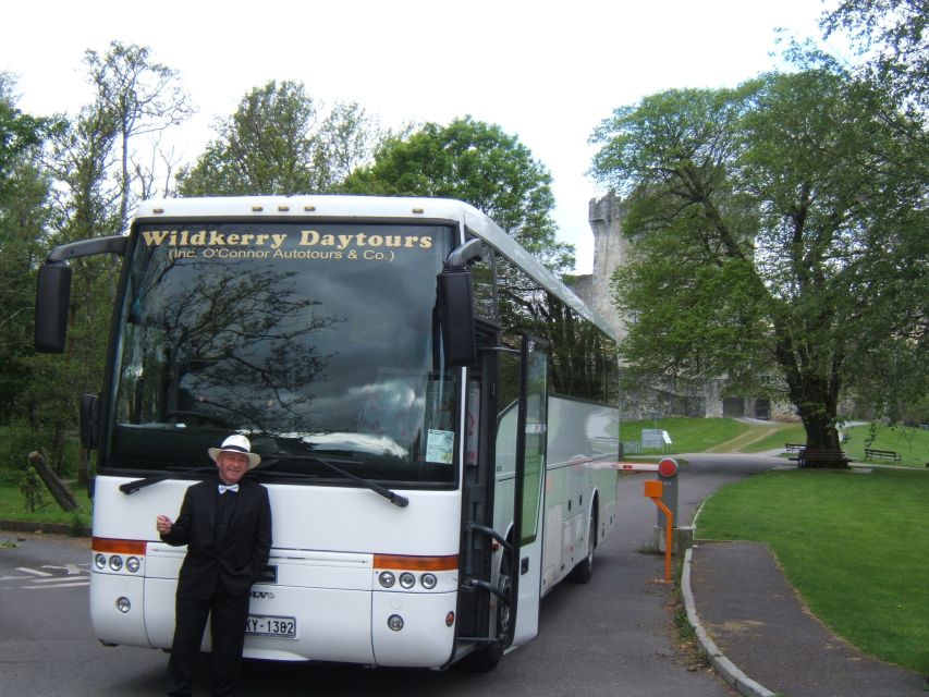 From Killarney: 'Ring of Kerry' Mountain Road 1-Day Bus Tour - Dingle Bay and the southern shore