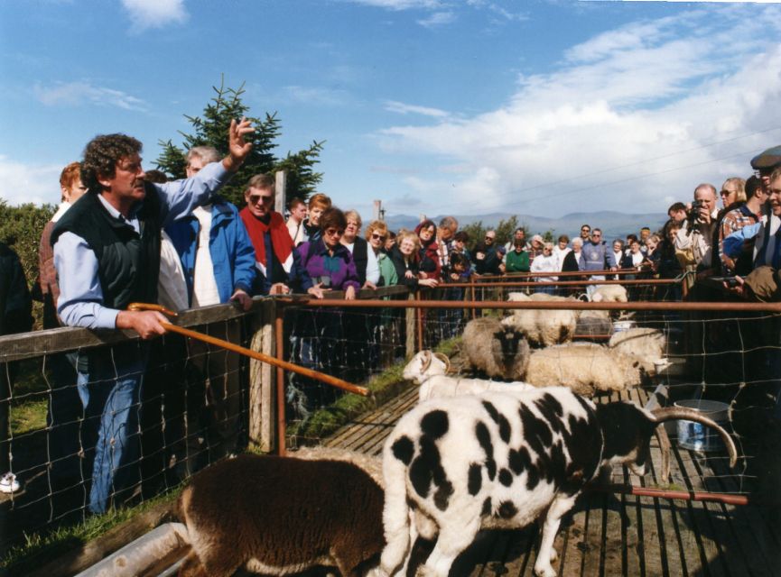From Killarney: 'Ring of Kerry' Mountain Road 1-Day Bus Tour - The lunch stop and afternoon refreshments