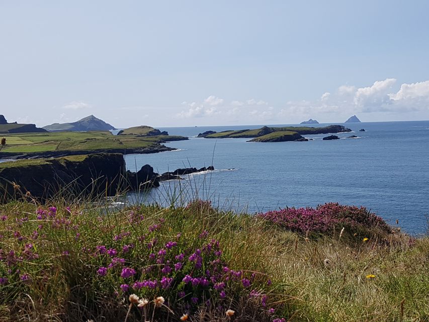 From Killarney: 'Ring of Kerry' Mountain Road 1-Day Bus Tour - Moll’s Gap and Ladies’ View