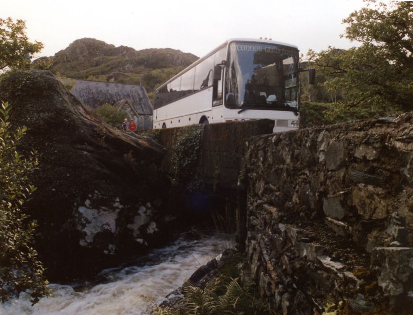 From Killarney: 'Ring of Kerry' Mountain Road 1-Day Bus Tour - What the guides add to the day