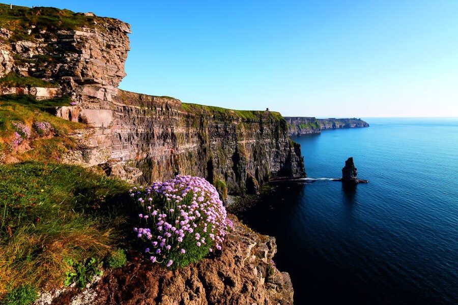 From Limerick: Full-Day Guided Tour of Cliffs of Moher - Bunratty Castle is a short stop, not a castle tour