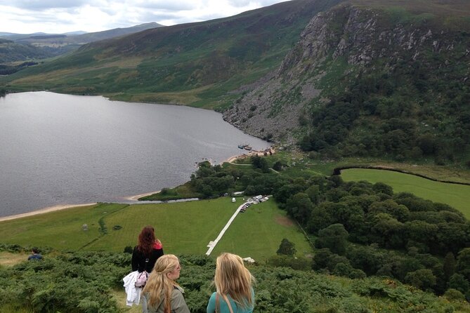 Full Day Private Wicklow Tour - Sally Gap and the Guinness lake views