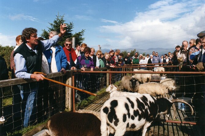 Full-Day Ring of Kerry Tour from Killarney - Dingle Bay and the Atlantic views