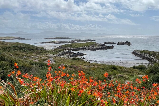 Full-Day Ring of Kerry Tour from Killarney - Sneem and Derrynane add villages and coastal history