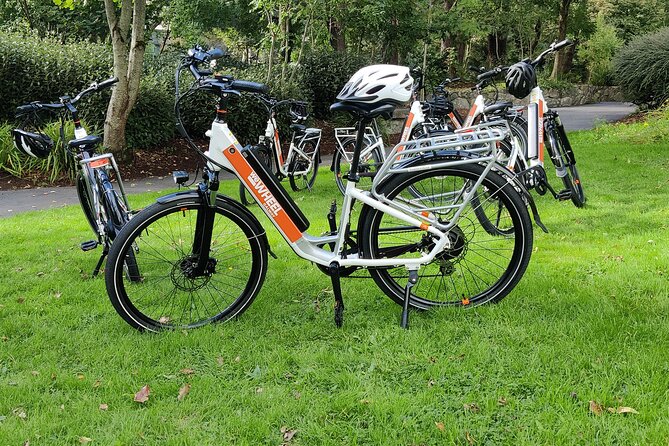 Galway City E-Bike Scavenger Hunt Game - The Circle of Life Garden and O’Connors Pub