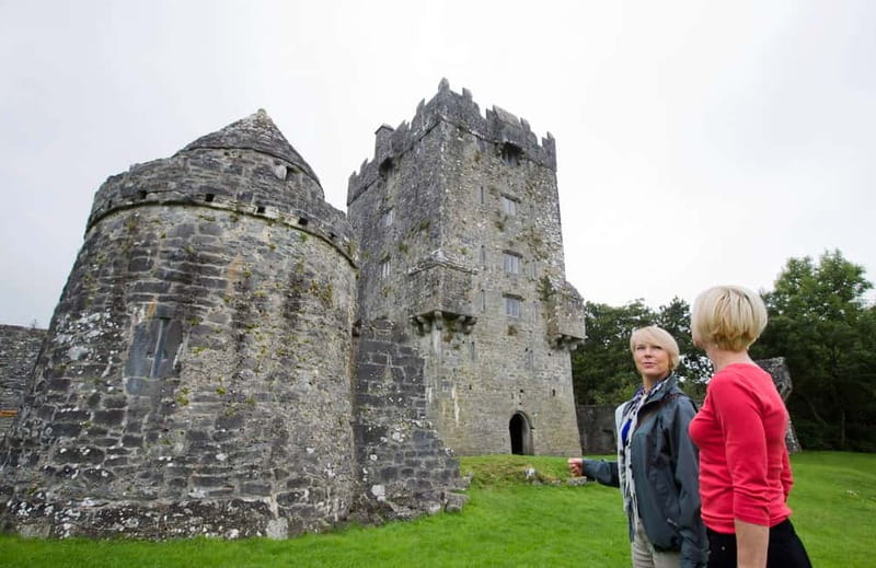 Galway: Connemara, Sheepdog Show and Medieval Castle Tour - Key reasons to consider this Connemara day trip