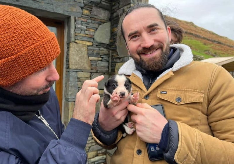 Galway: Connemara, Sheepdog Show and Medieval Castle Tour - Why the sheepdog demonstration is the day’s real highlight