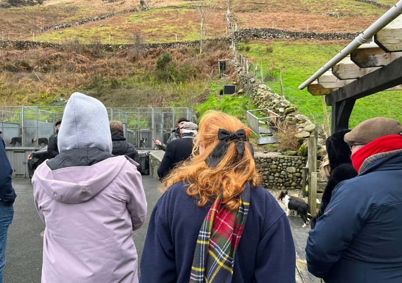 Galway: Connemara, Sheepdog Show and Medieval Castle Tour - The Twelve Bens, Lough Corrib, and Lough Derryclare