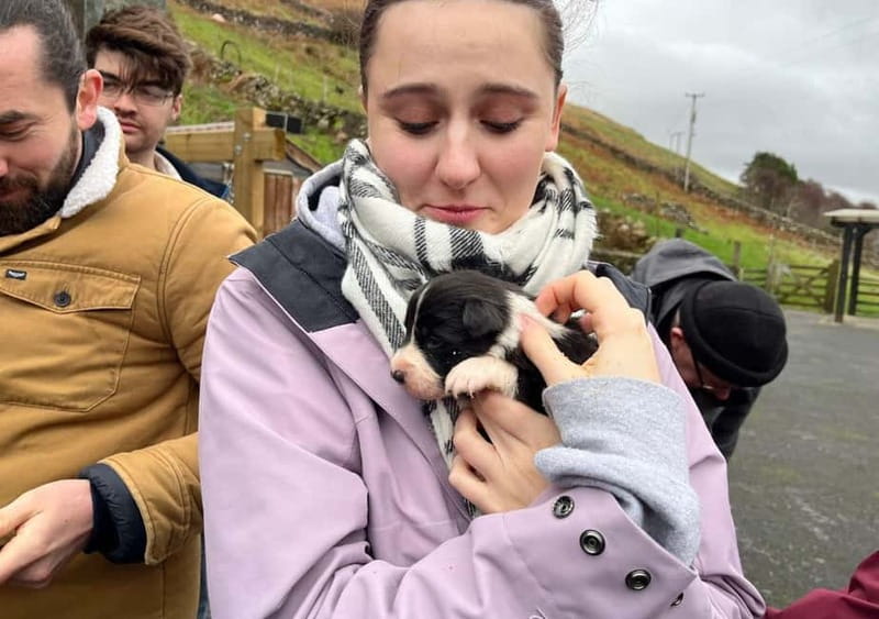 Galway: Connemara, Sheepdog Show and Medieval Castle Tour - How the small group and guides shape the day