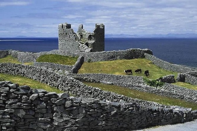 Galway to Aran Islands Inisheer, Doolin, Cliffs of Moher Day Tour - The guides make the coach ride count