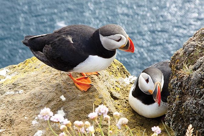 Galway to Cliffs of Moher, Aillwee Cave & Dunguaire Castle Tour - Scenic stops on the Wild Atlantic Way