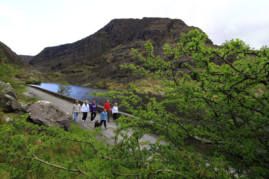 Gap of Dunloe & Lakes of Killlarney Boat Tour - Key points to know