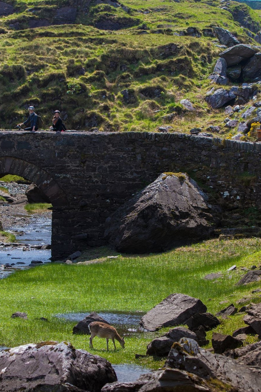 Gap of Dunloe & Lakes of Killlarney Boat Tour - Cruising the upper, middle, and lower lakes