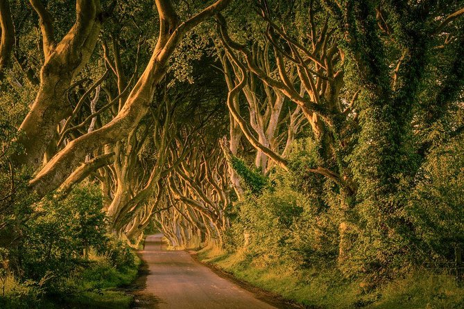 Giant Causeway, Dark Hedges & Whiskey Distillery tour from Dublin - Dunluce Castle and the Antrim coast