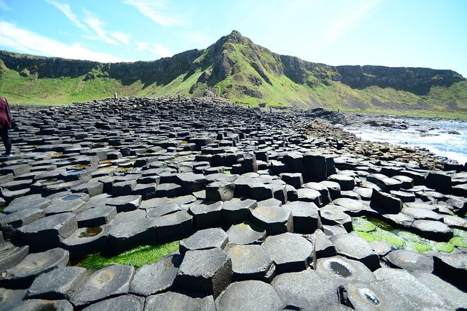 Giant's Causeway, Dark of Hedges & Belfast Day Tour From Dublin - The long road to the Dark Hedges