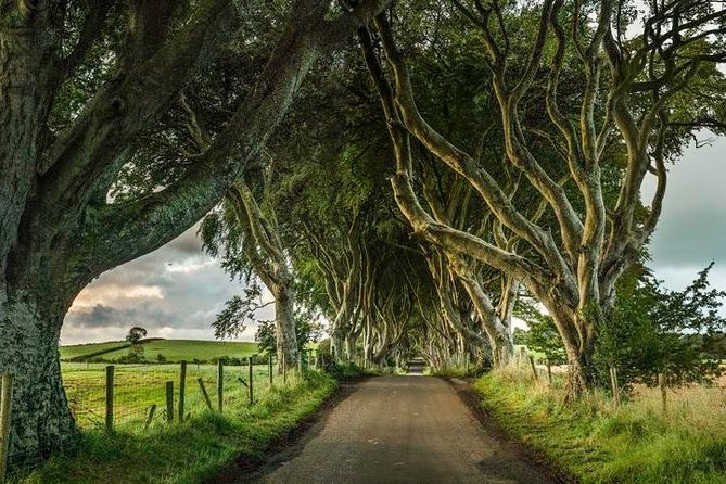 Giant's Causeway Day Tour from Dublin - Belfast in one hour