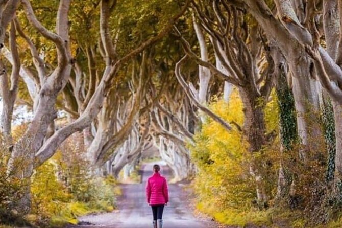 Giants Causeway and Belfast 2 Days with Private Chauffeur Tour - Belfast City Hall and the city center