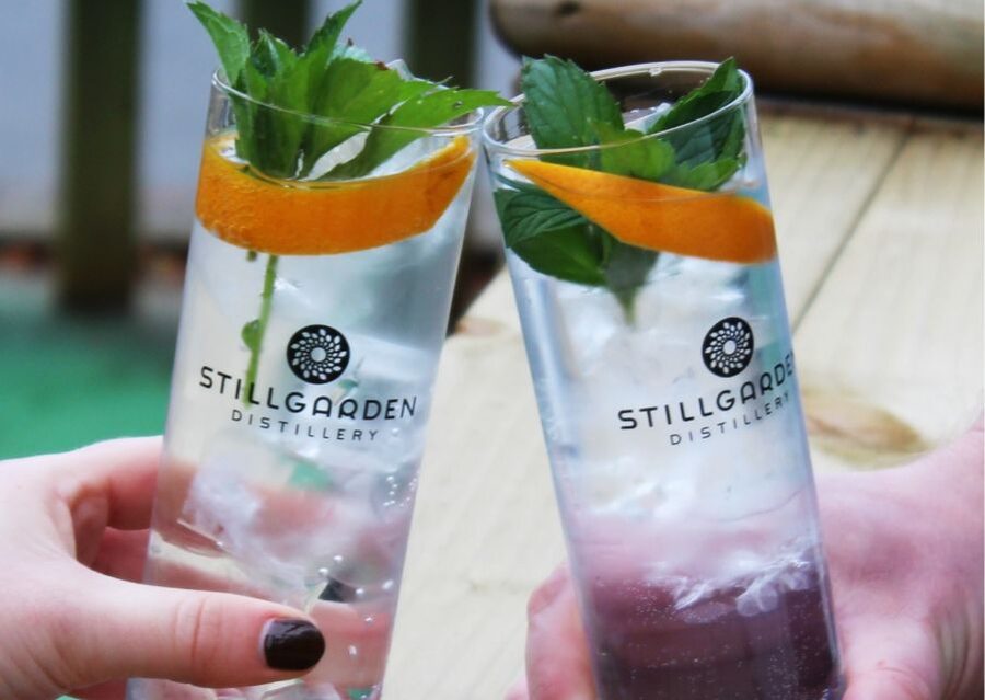 Gin School, distill you own gin, cocktails, tastings, food - A short history lesson before the tasting