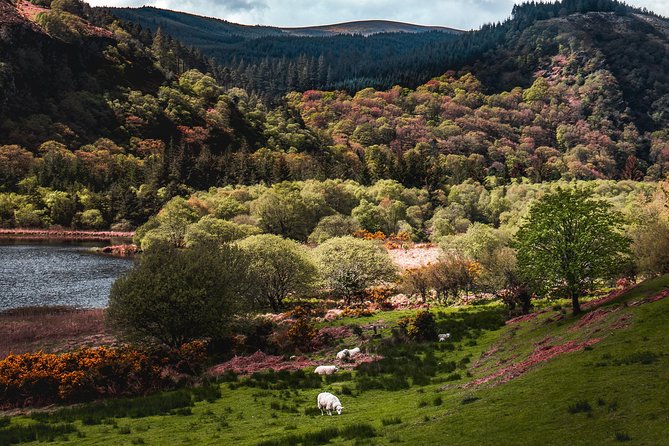 Glendalough Day Tour from Dublin: Including Kilkenny City - Two hours among Kilkenny’s medieval streets