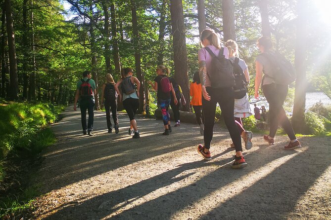 Glendalough Night Hike and History Tour - Understanding Glendalough’s sixth-century monastic site