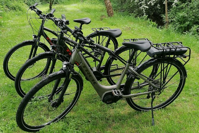 Guided eBike Tour - Killaloe and the Lough Derg Shore - Tuamgraney and Ireland’s oldest church still in use