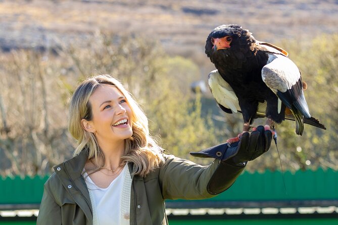 Guided Tour of Aillwee Cave and Visit to the Birds of Prey Centre - Key points to know before you go