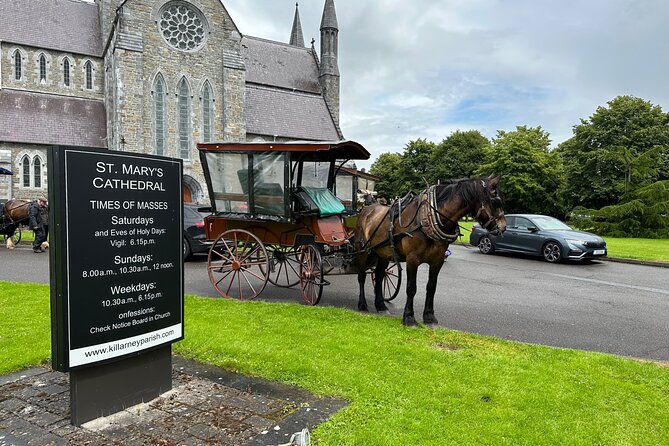 Horse-Drawn Carriage Tours in Killarney - The Lakes of Killarney at a slower pace