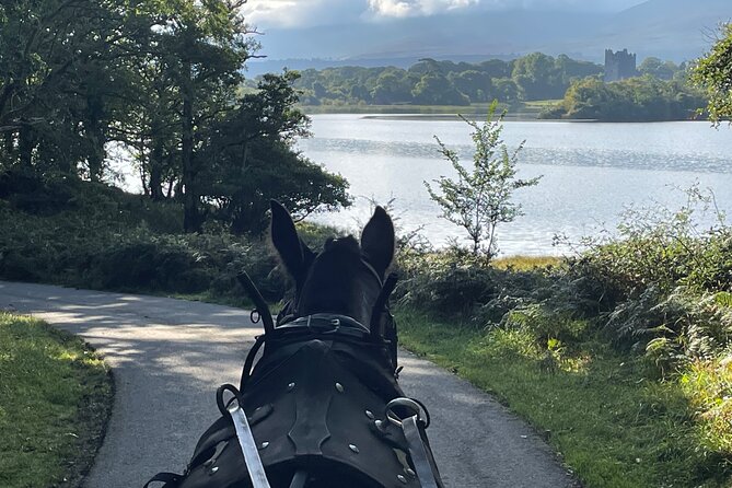 Horse-Drawn Carriage Tours in Killarney - The horses and the people behind the ride