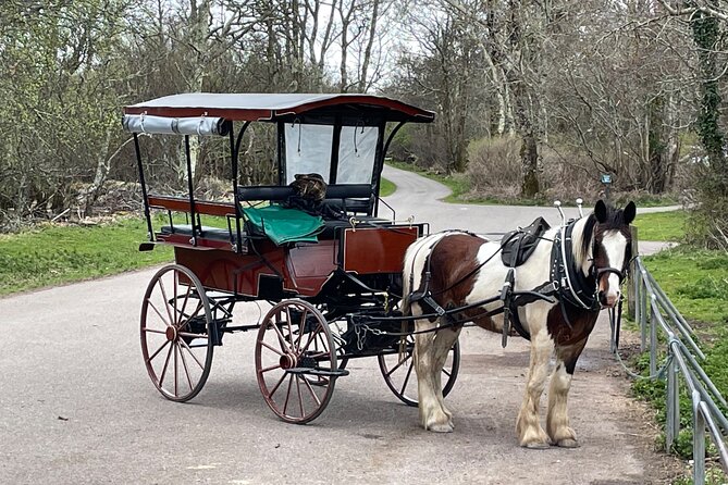 Horse-Drawn Carriage Tours in Killarney - What the $48.06 price gets you