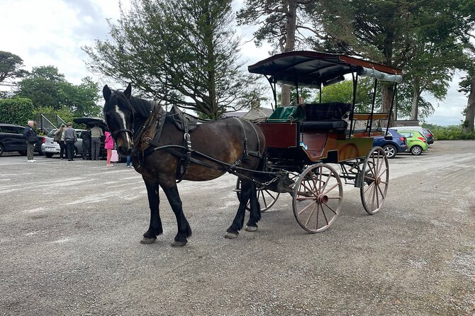 Horse-Drawn Carriage Tours in Killarney - Rain, blankets, and the practical side