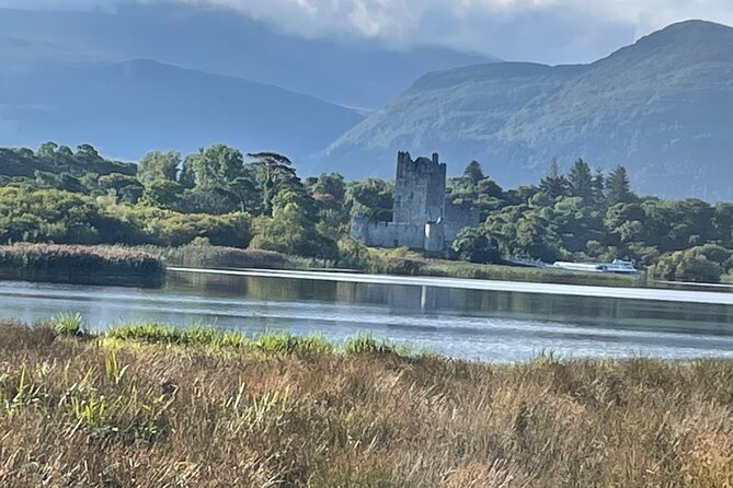 Horse-Drawn Carriage Tours in Killarney - Who will enjoy this Killarney carriage ride?