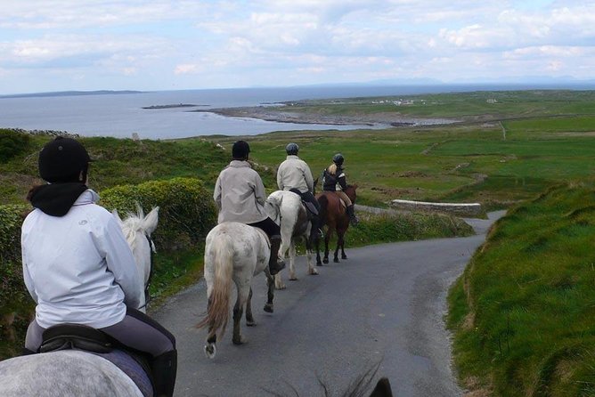 Horse riding - Burren Trail. Lisdoonvarna, Co Clare. Guided. 3 hours. - What the stops and views add
