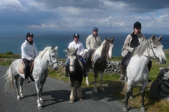 Horse riding - Burren Trail. Lisdoonvarna, Co Clare. Guided. 3 hours. - Who will enjoy this most