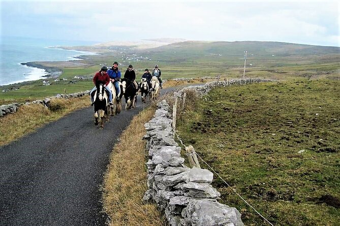 Horse riding - Dirt Trek Trail. Lisdoonvarna, Clare. Guided. 1 hour. - A one-hour route through Clare woodlands and famine ruins