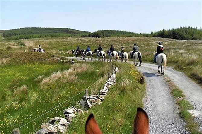 Horse riding - Dirt Trek Trail. Lisdoonvarna, Clare. Guided. 1 hour. - Why the horses and guides matter
