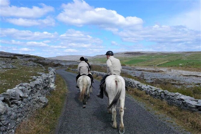 Horse riding - Dirt Trek Trail. Lisdoonvarna, Clare. Guided. 1 hour. - Timing, weather, and what to bring