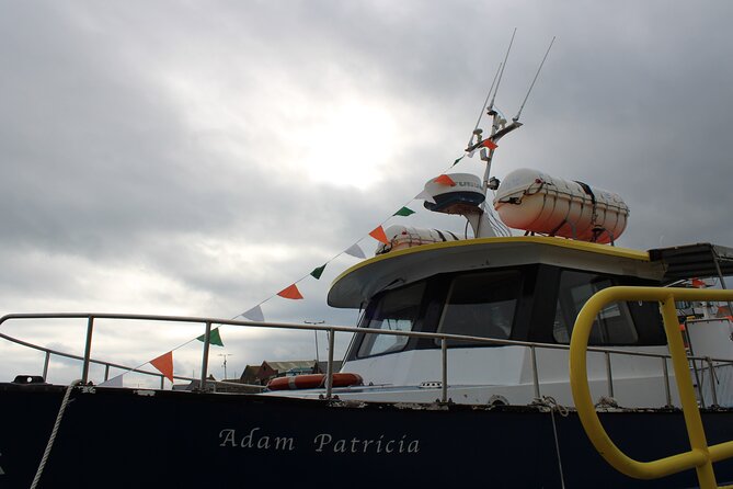Howth Cliffs and Ireland's Eye Ferry Boat Tour - Who will enjoy this boat ride most