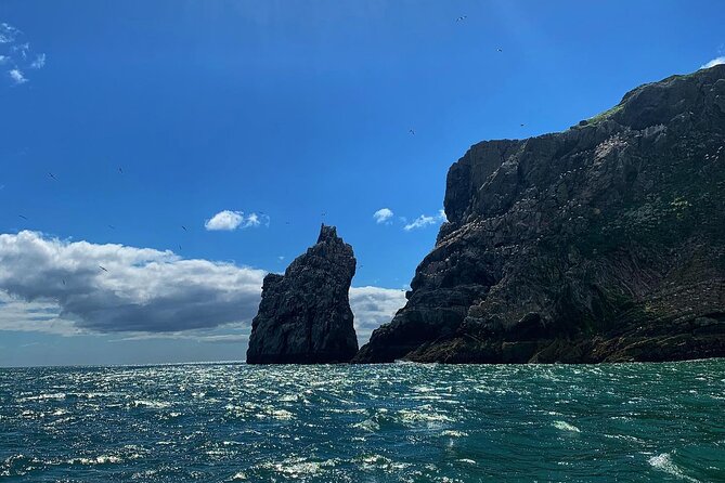 Howth Cliffs and Ireland's Eye Ferry Boat Tour - Should you book the Howth Cliffs and Ireland’s Eye tour?