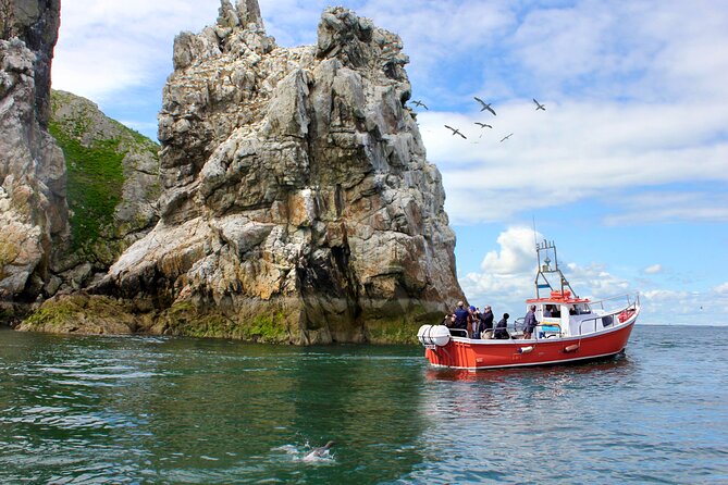 Howth Coastal Boat Tour (Ireland's Eye Ferries 50 mins trip) - Key things to know before booking