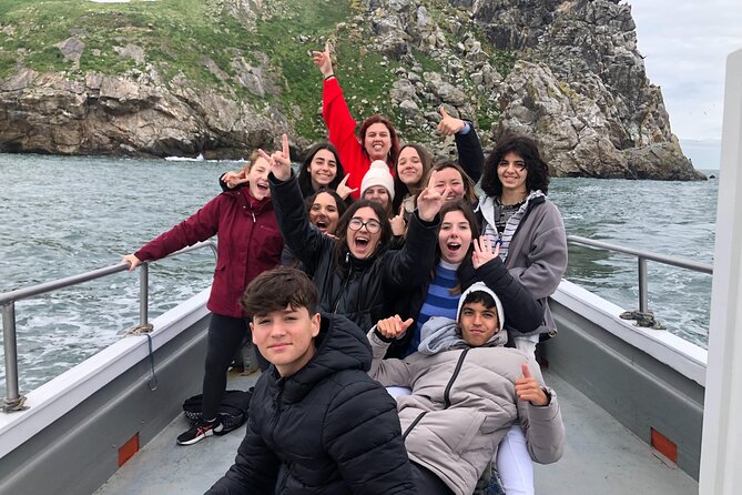 Howth Coastal Boat Tour (Ireland's Eye Ferries 50 mins trip) - Getting to the pier from Dublin