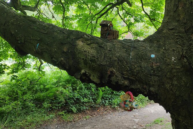 Howth Hiking Trail from Dublin: Mythology and Legend - Why this Howth hike feels different from a standard day trip